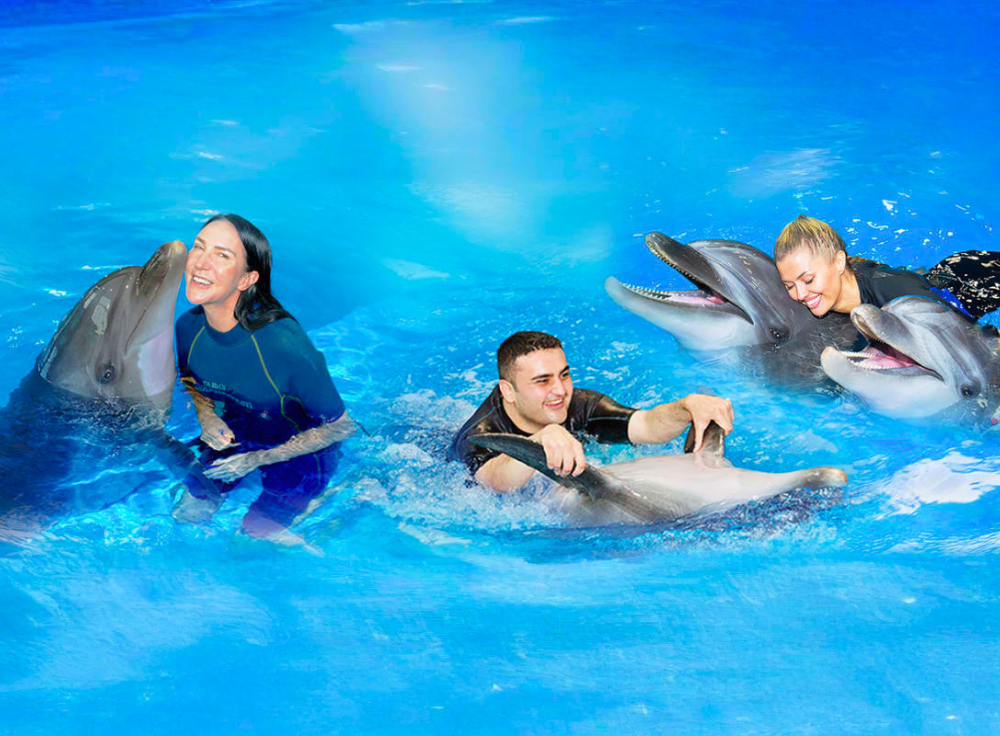 dubai-dolphinarium_emipulse_02