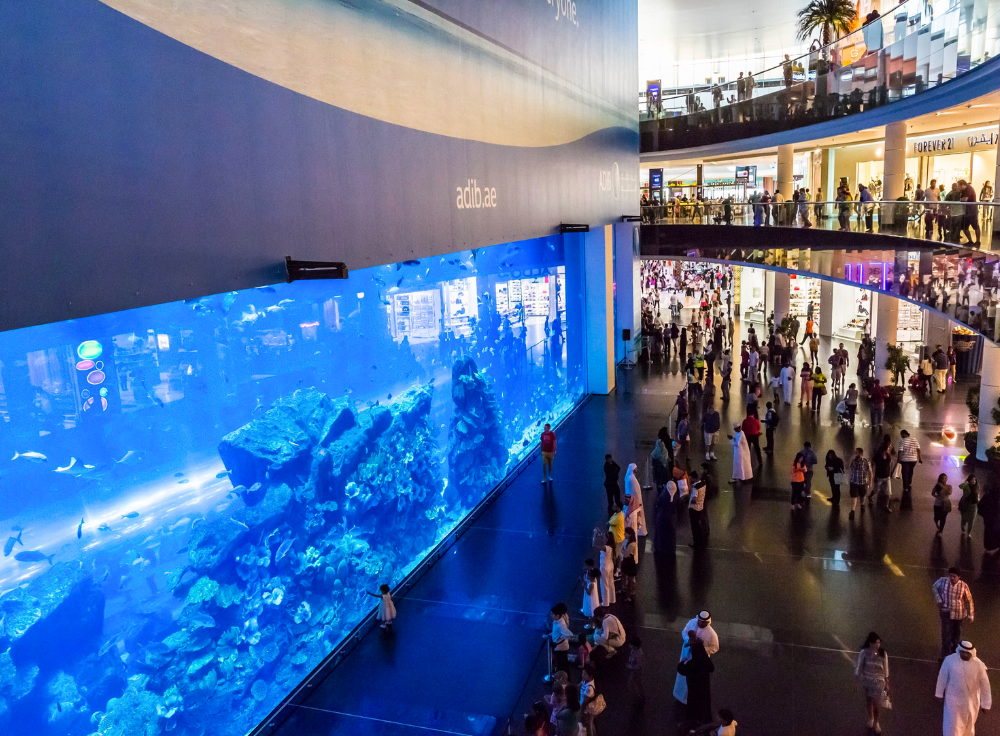 A breathtaking view of exotic fish and marine creatures inside Dubai Aquarium & Underwater Zoo.