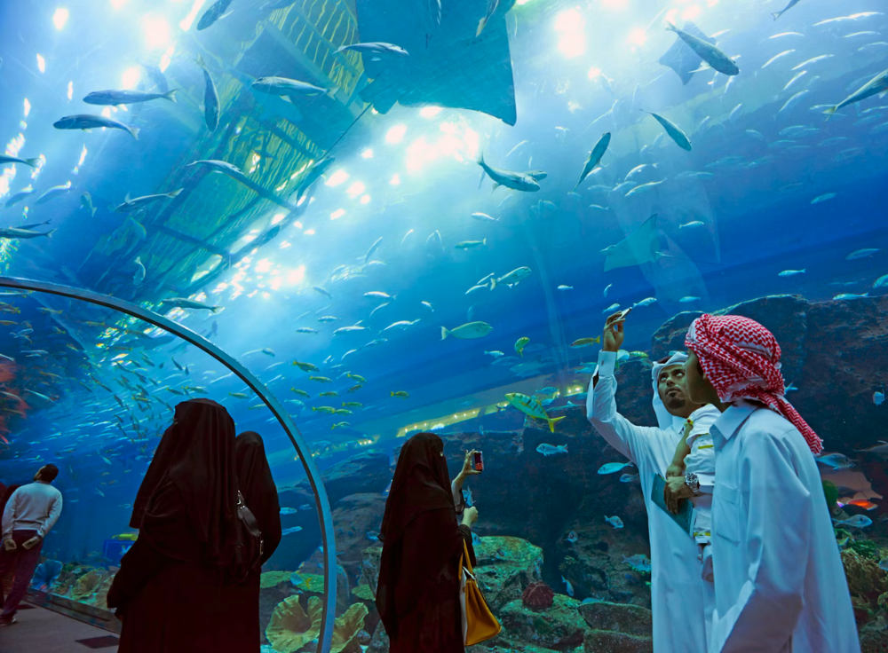 Dubai Aquarium & Underwater Zoo, one of the top family attractions and tourist experiences in Dubai.